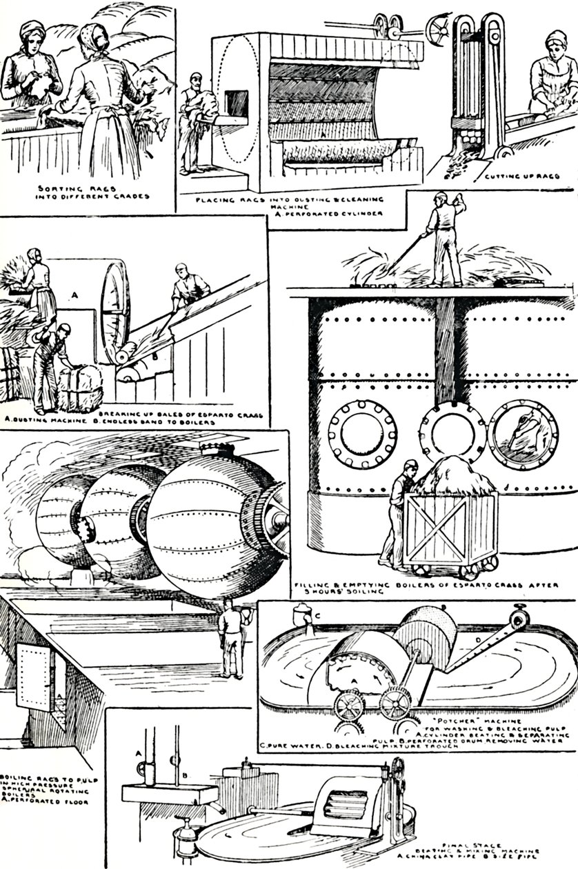 Kaaviot, jotka kuvaavat rättien ja esparto-ruohon valmistusta paperinvalmistukseen, c1917 tekijältä Unbekannt