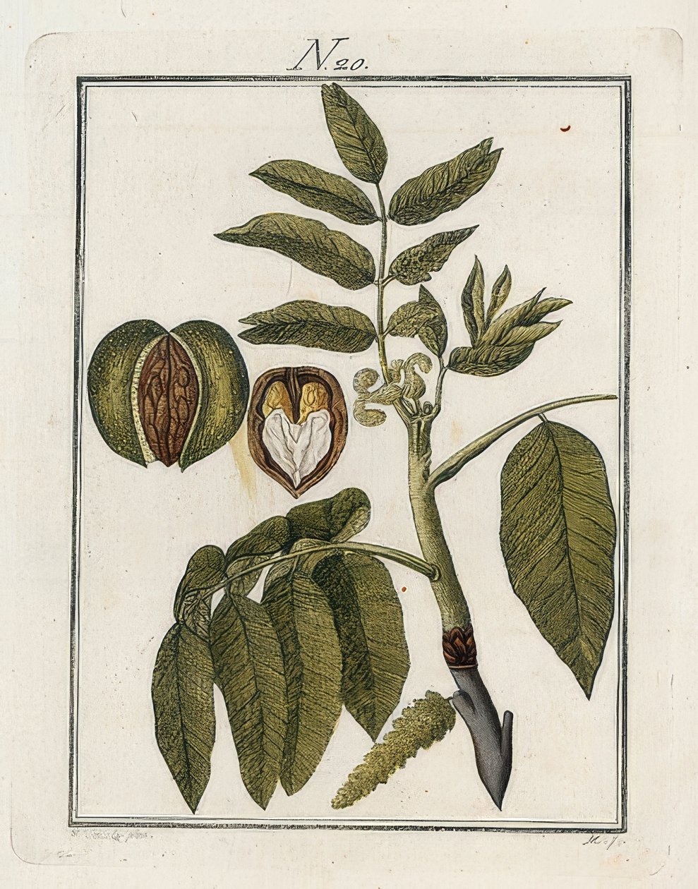 saksanpähkinä. Maailma kuvissa. Volume 3. Rakentaja. Wien. 1790 tekijältä Unbekannt