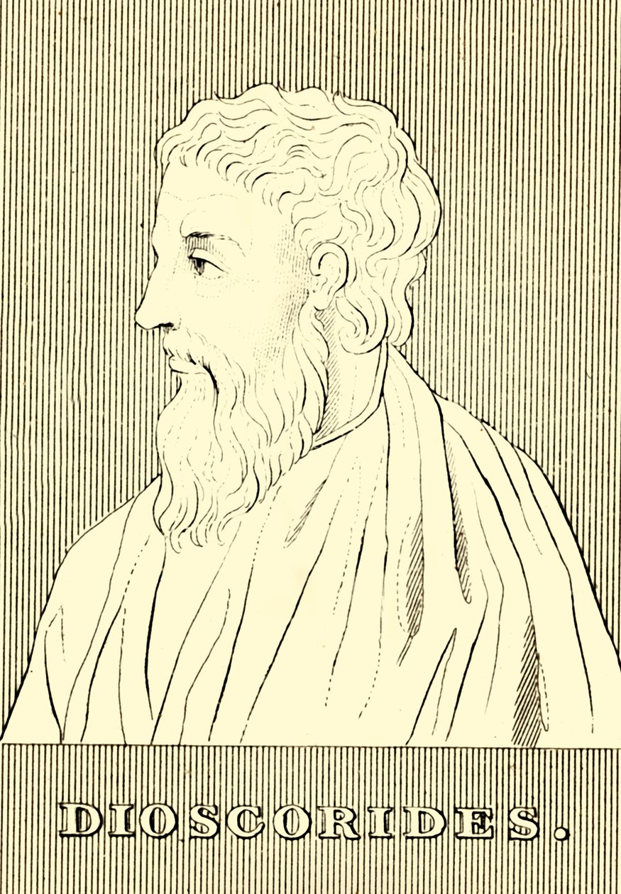 Dioscorides, 40-90 jKr., 1830 tekijältä Unbekannt