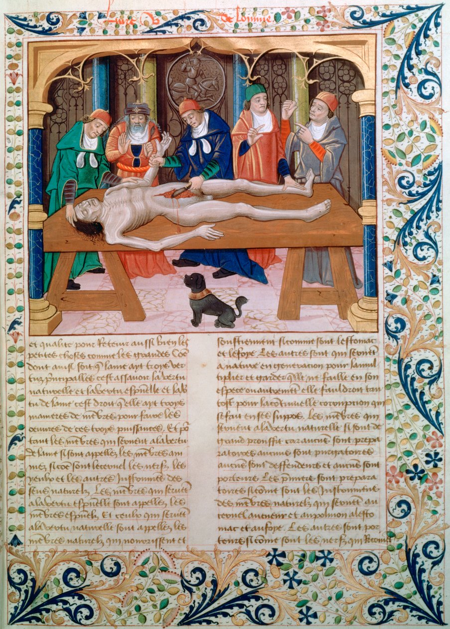 Dissektio, 1400-luvun loppu tekijältä Unbekannt