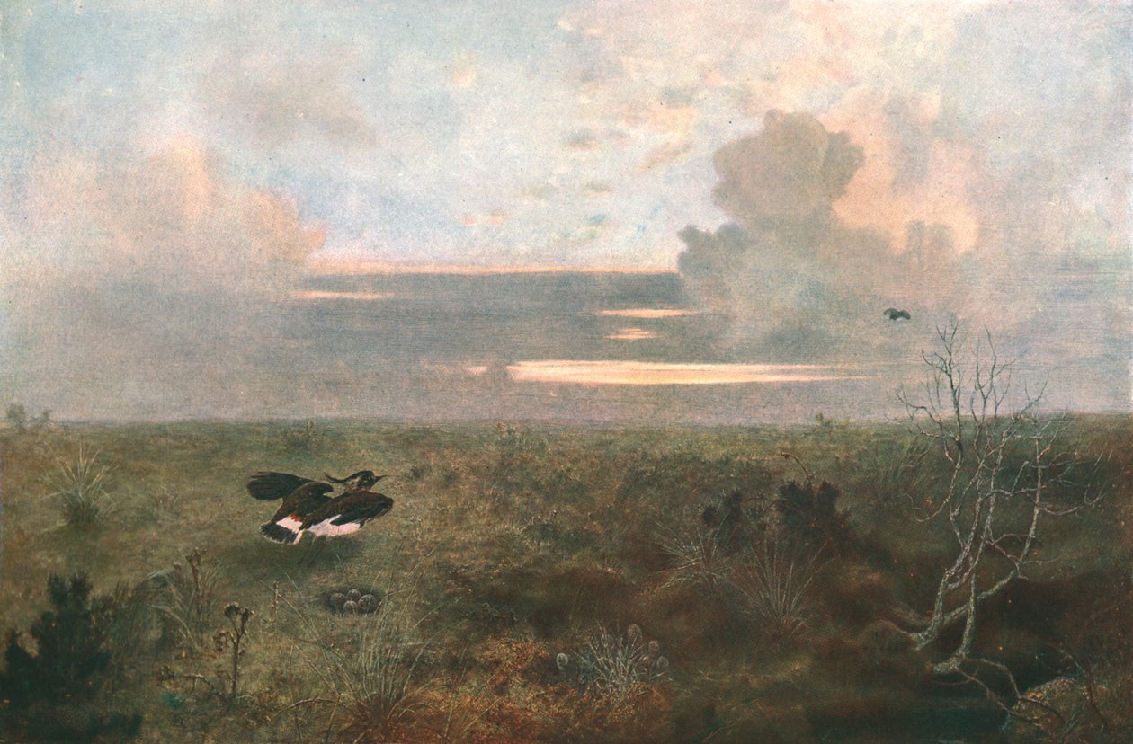 Disturbed: A Plover Rising from Its Nest, 1879, c1902. tekijältä Unbekannt