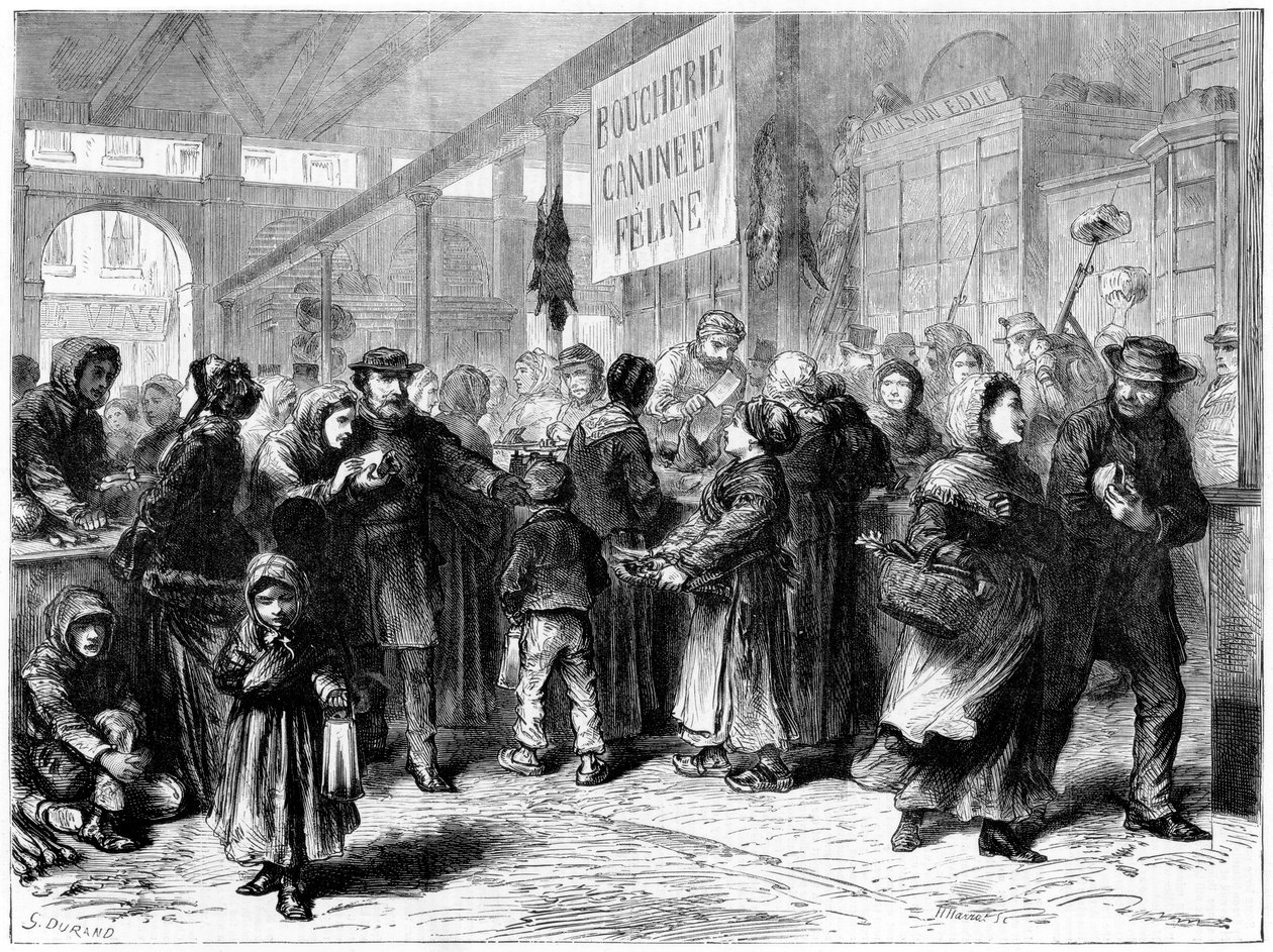 Koiran ja kissan lihan teurastaja Pariisissa, Ranskan ja Preussin sota, 1871 tekijältä Unbekannt