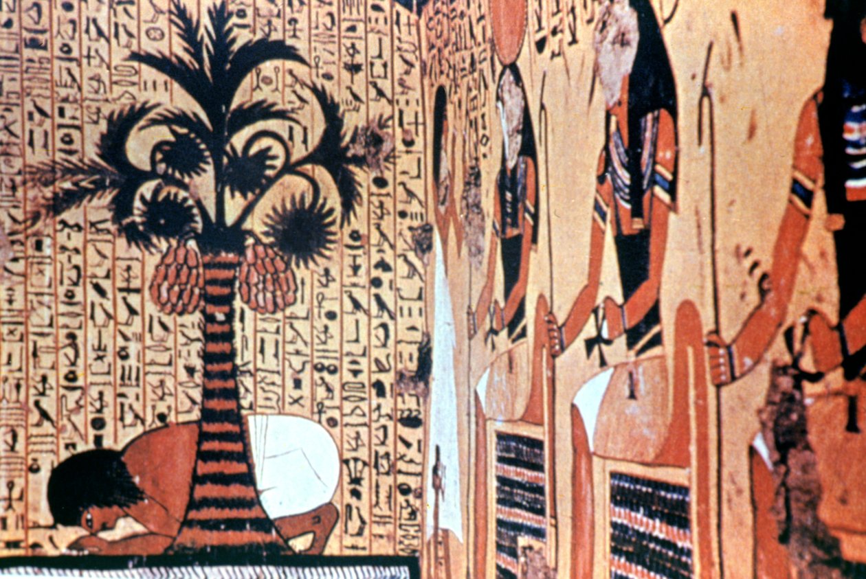 Juominen joesta, temppelin seinämaalaus, Thebes, Egypti tekijältä Unbekannt