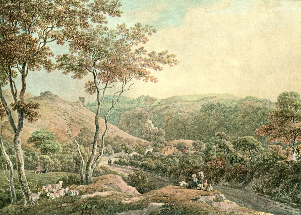 Drysllwynin linna, Carmarthenshire, 1900. tekijältä Unbekannt