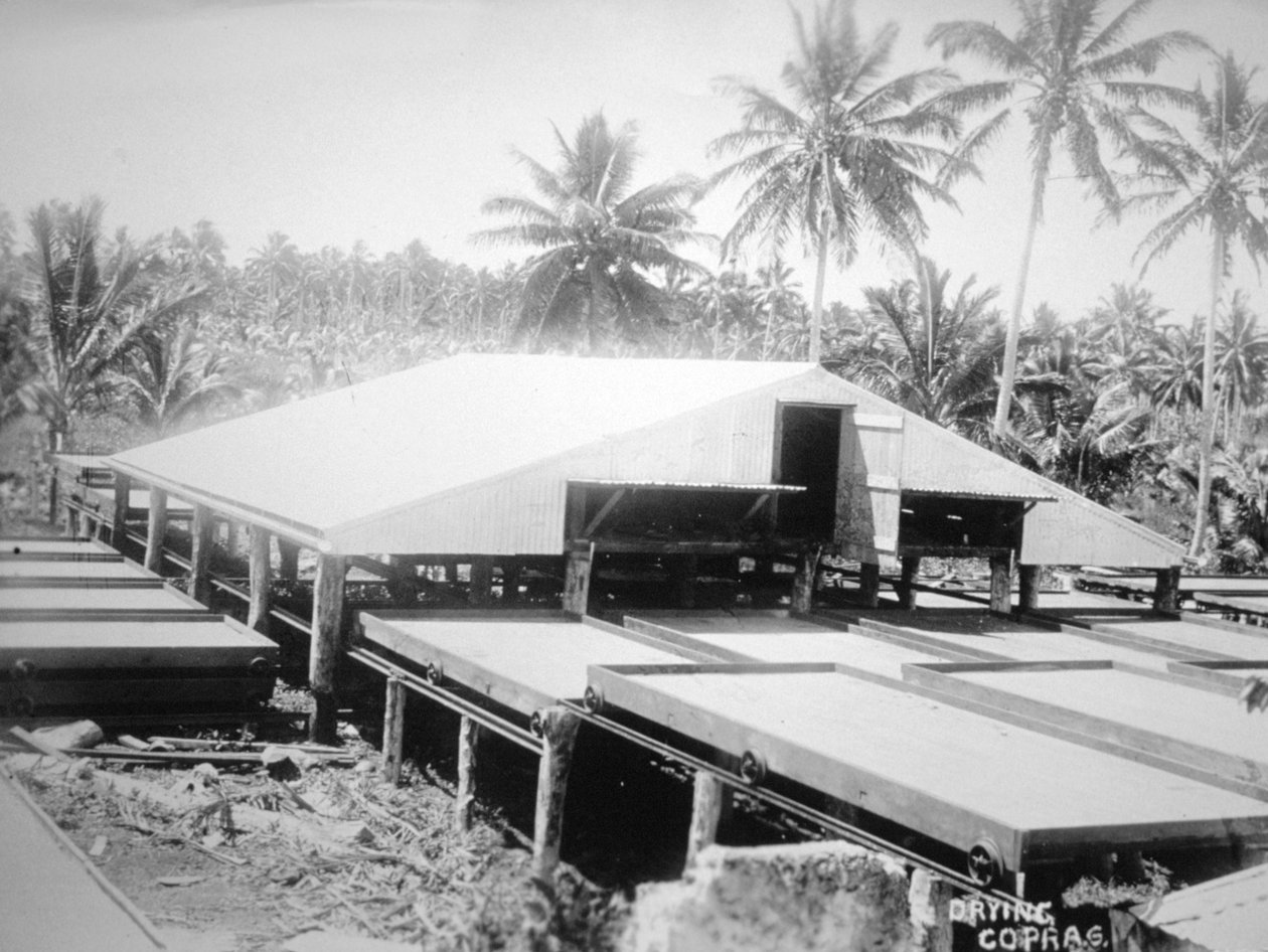 Kuivauskopra, Salomon Island, Fidži, 1905 tekijältä Unbekannt