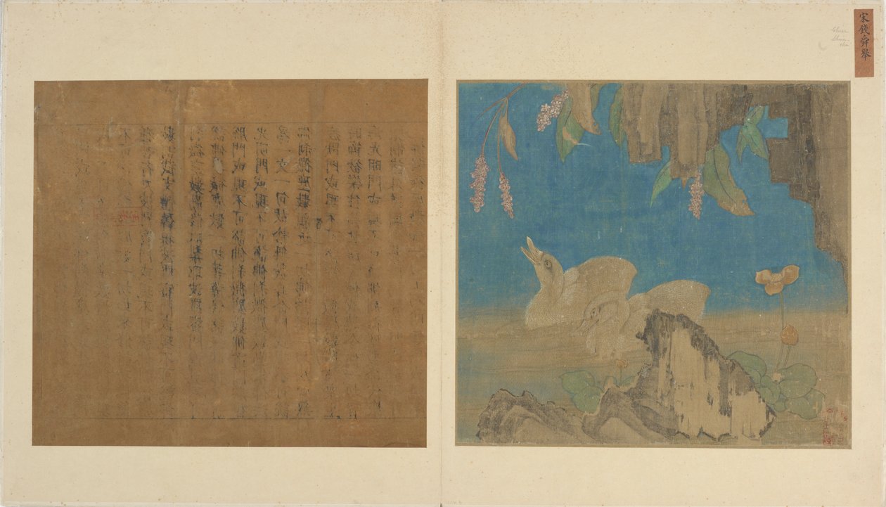 Ankanpojat, kivet ja kukat, Ming-dynastia, 1368-1644. tekijältä Unbekannt