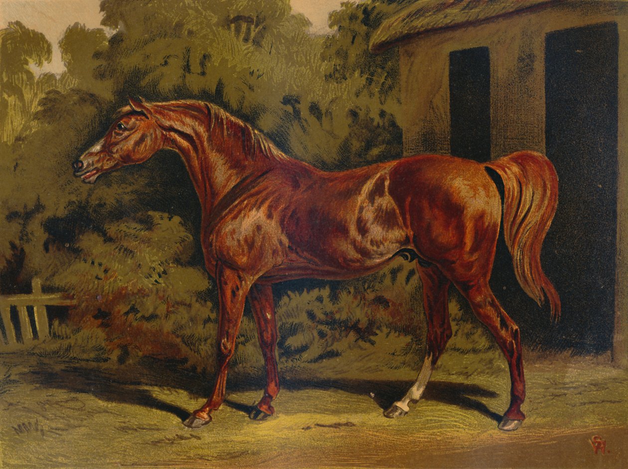 Eclipse, 1879. tekijältä Unbekannt