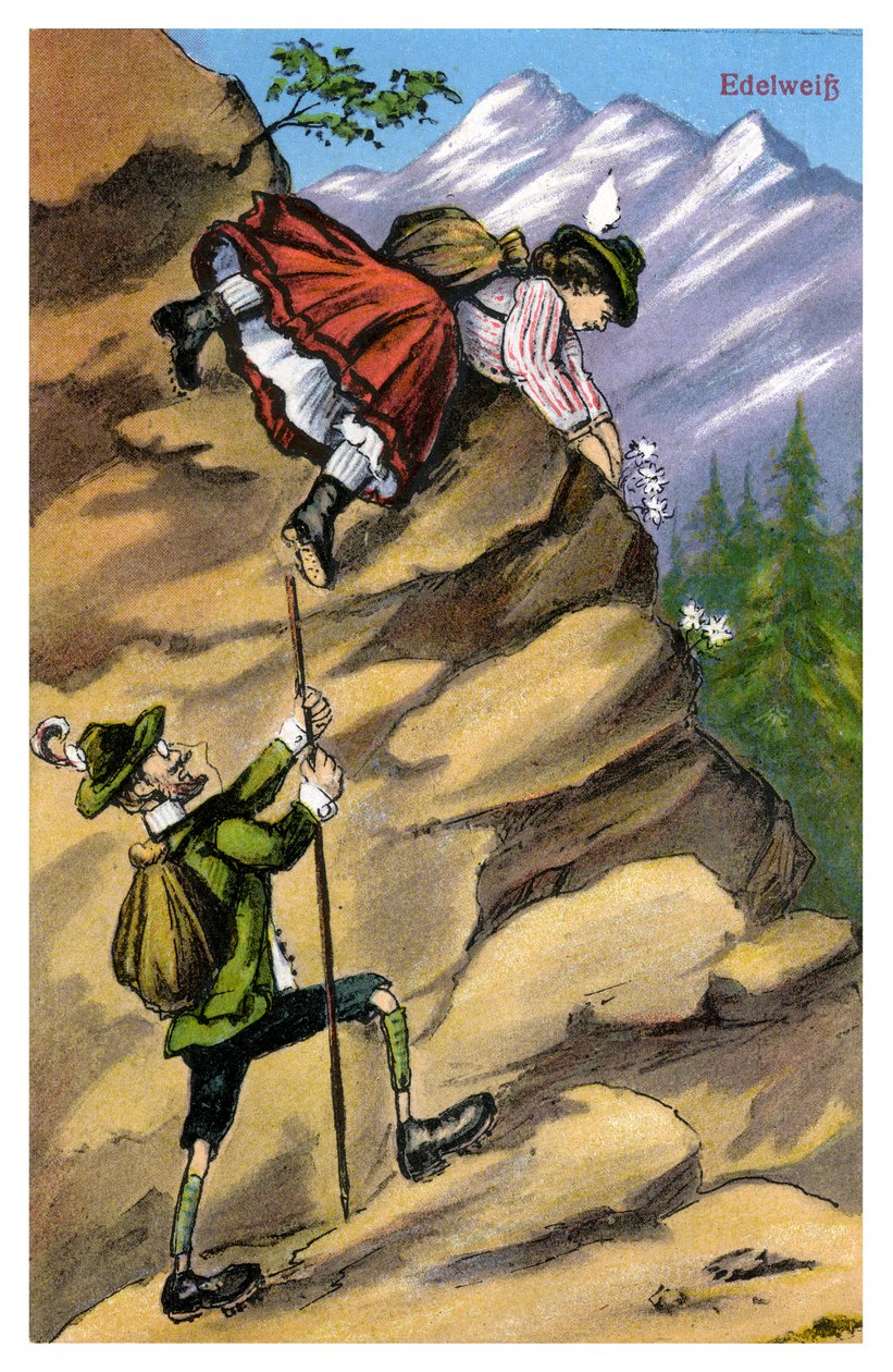 Edelweiss, 1800-luvun loppu tai 1900-luvun alku tekijältä Unbekannt