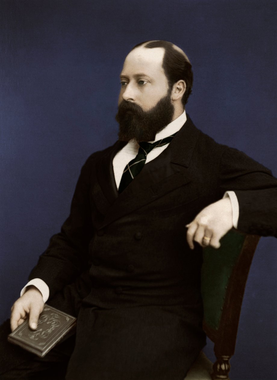 Edward VII silloinen Walesin prinssi, 1876 tekijältä Unbekannt