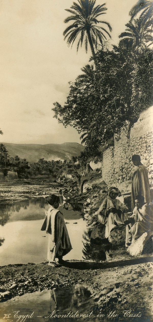 Egypti - Noontiderest in the Oasis, c1918-c1939. tekijältä Unbekannt