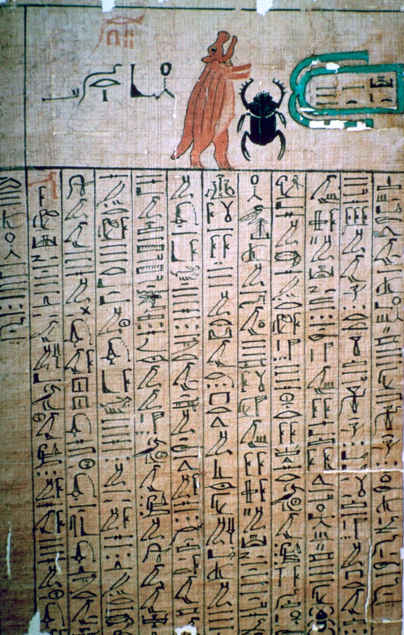 Egyptiläiset hieroglyfit Kuolleiden kirjasta tekijältä Unbekannt