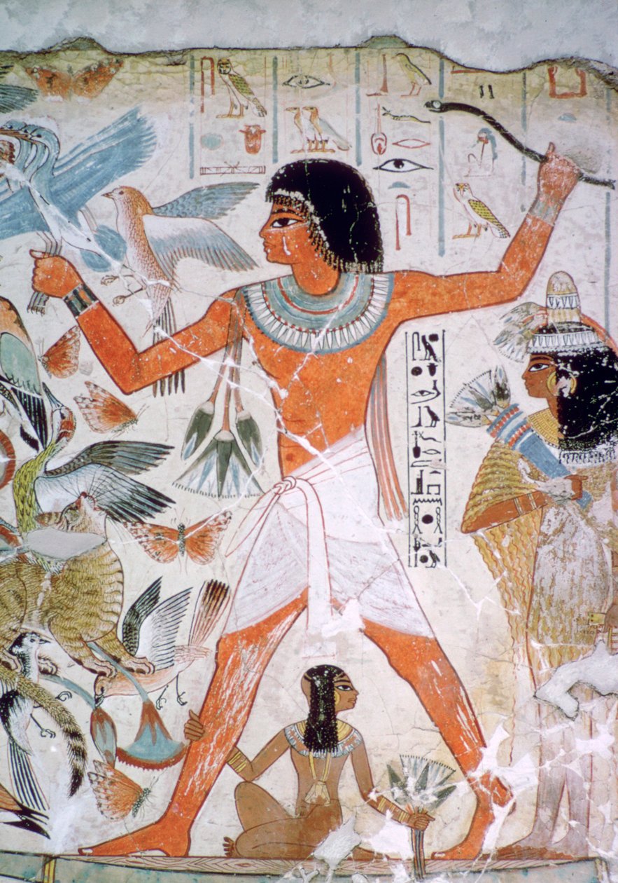 Egyptiläinen seinämaalaus linnuista tekijältä Unbekannt