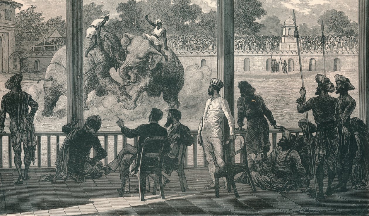 Elefanttitaistelu Barodassa, 1896 tekijältä Unbekannt