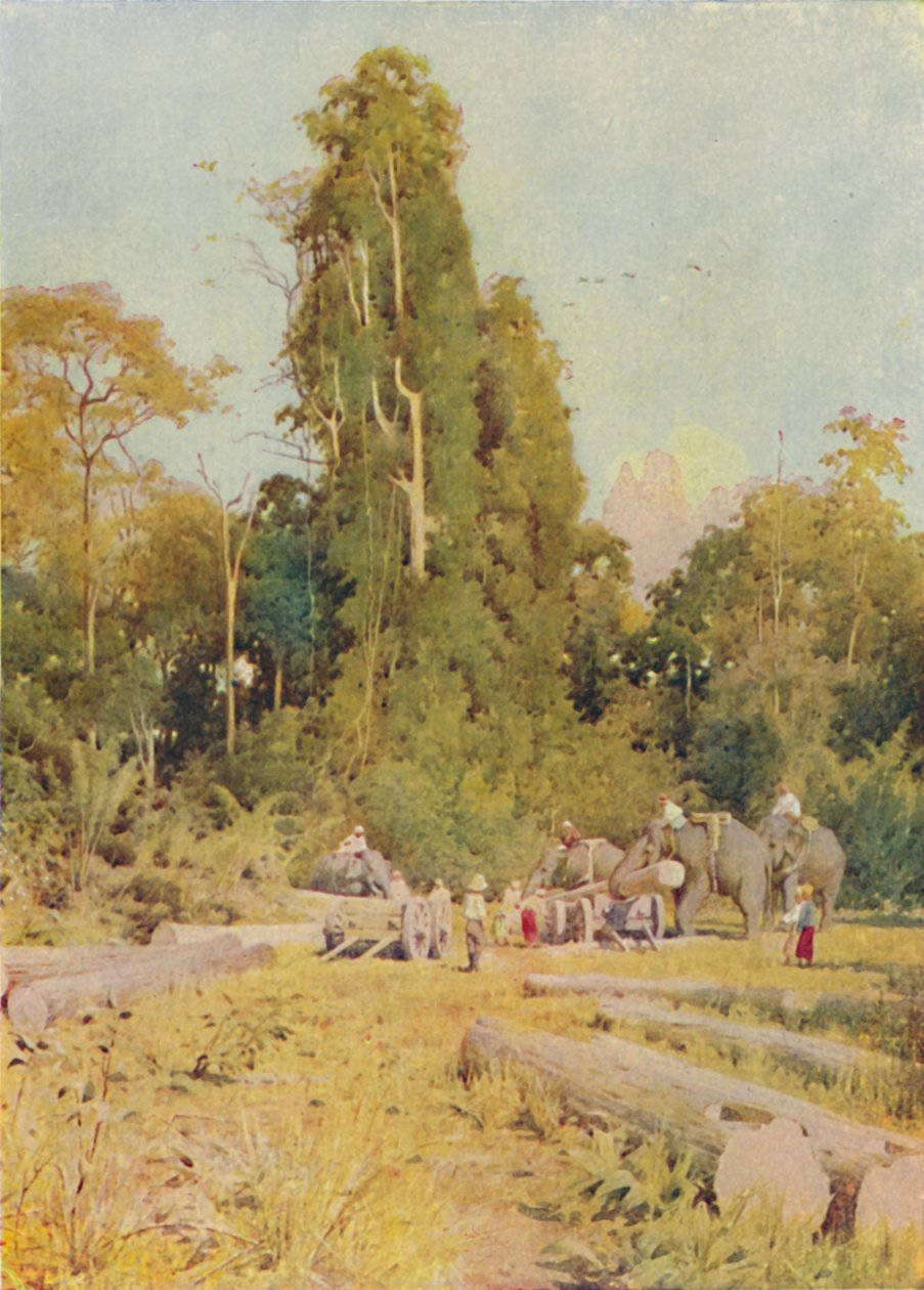 Elephants Piling Teak, 1924 tekijältä Unbekannt