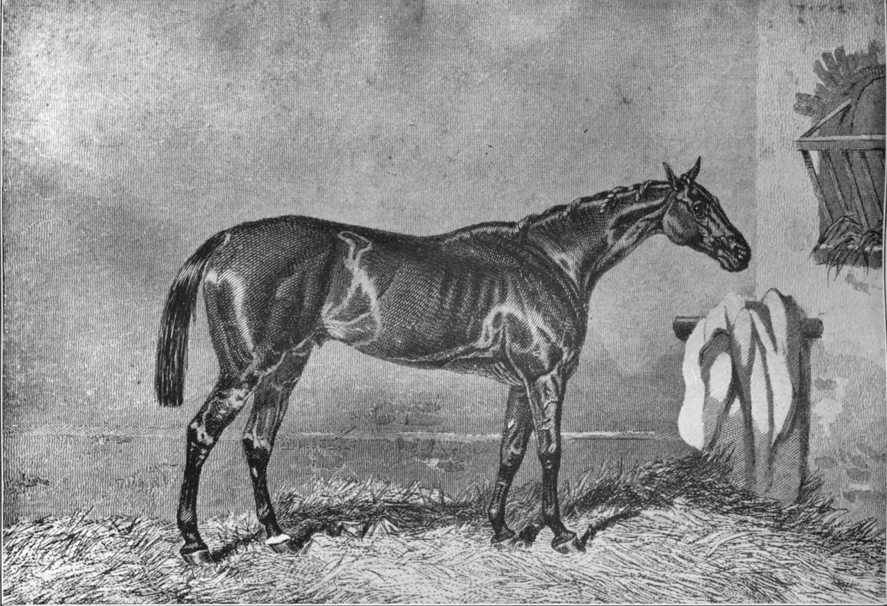Ellington, 1853-1870, 1911 tekijältä Unbekannt