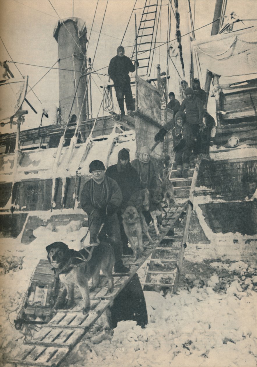 Koirien harjoittelua, 1936 tekijältä Unbekannt