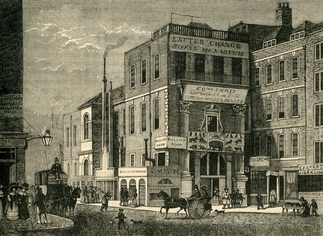 Exeterin muutos vuonna 1826, 1881. tekijältä Unbekannt