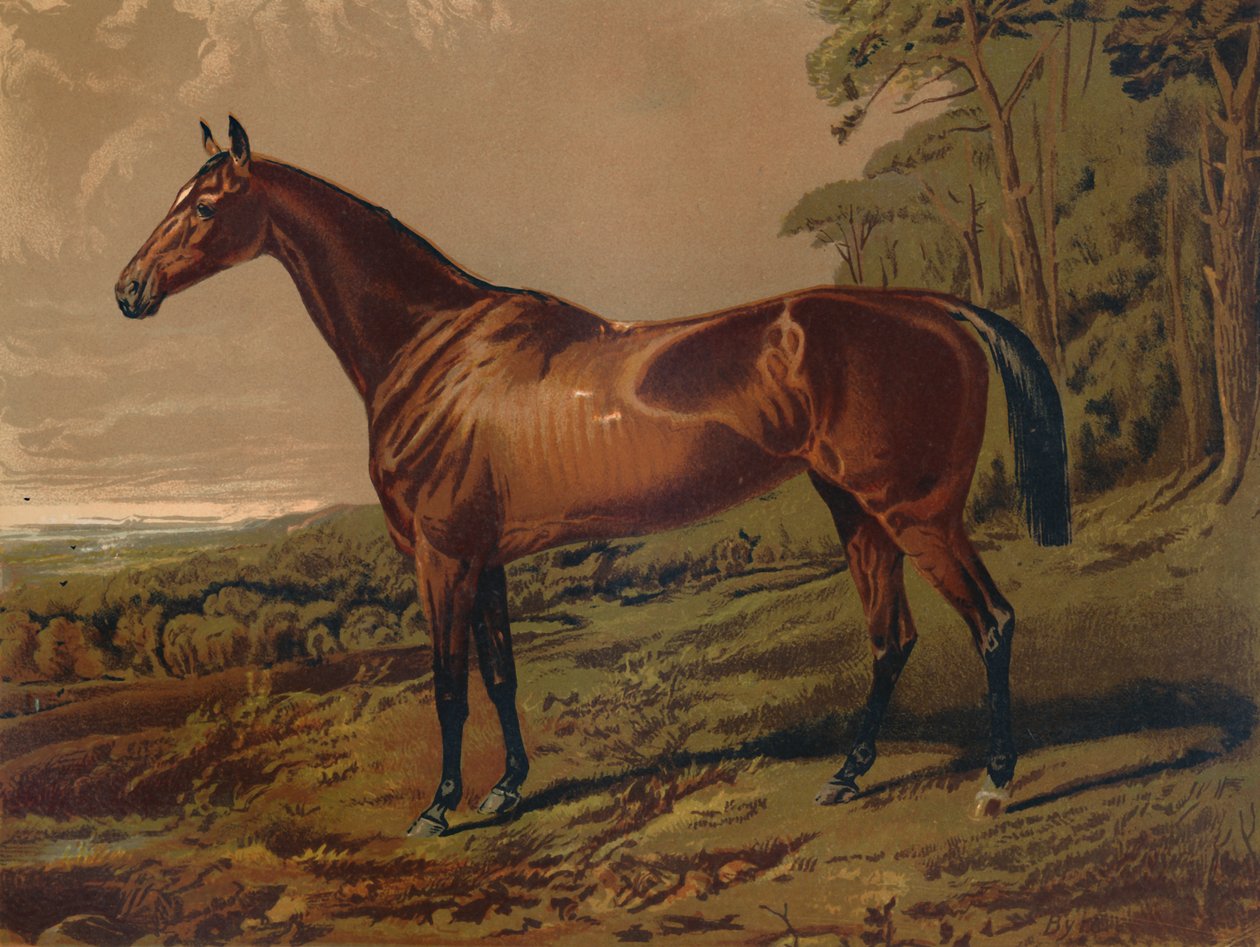 Fair Nell, 1879. tekijältä Unbekannt