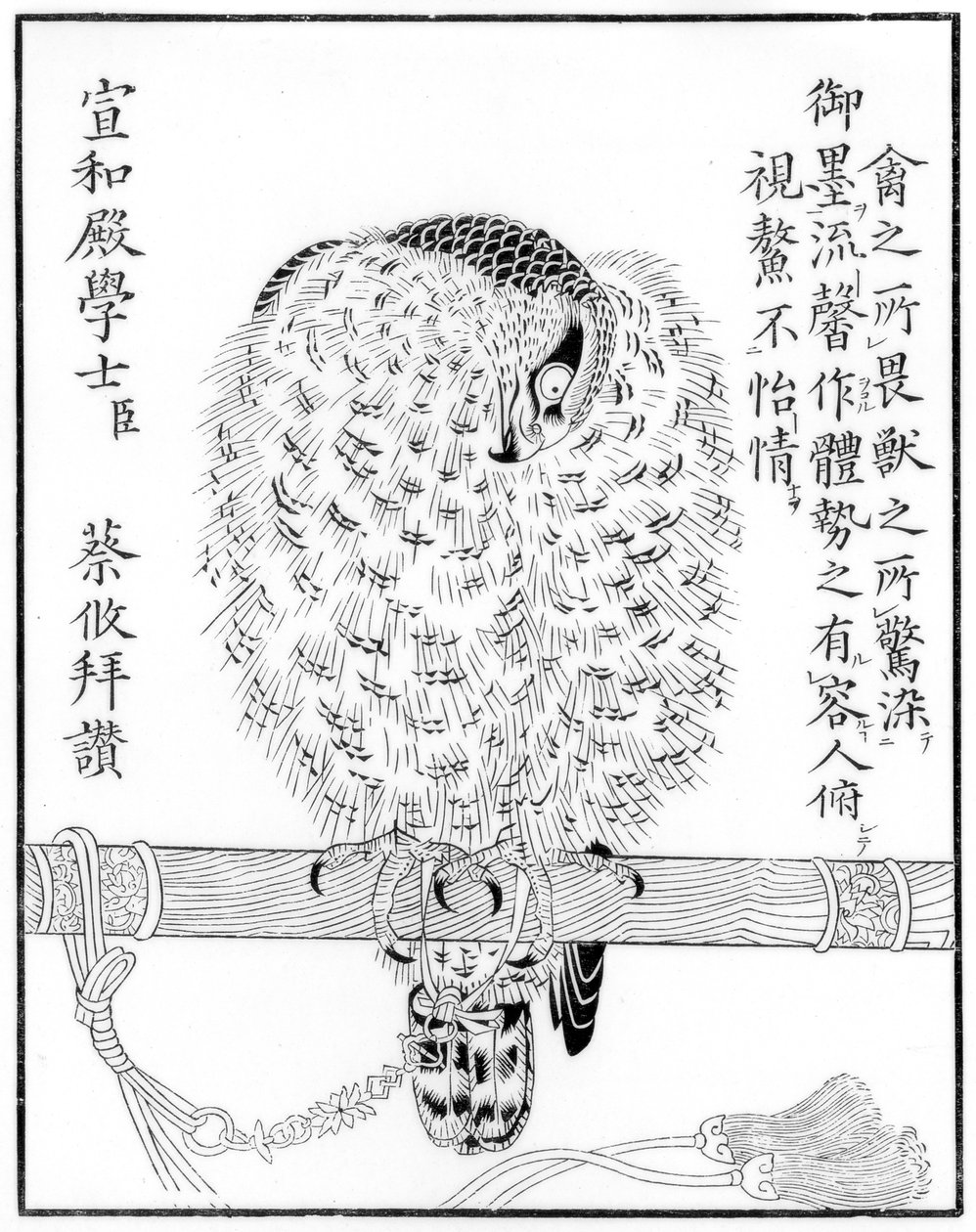 Falcon, 1886 tekijältä Unbekannt