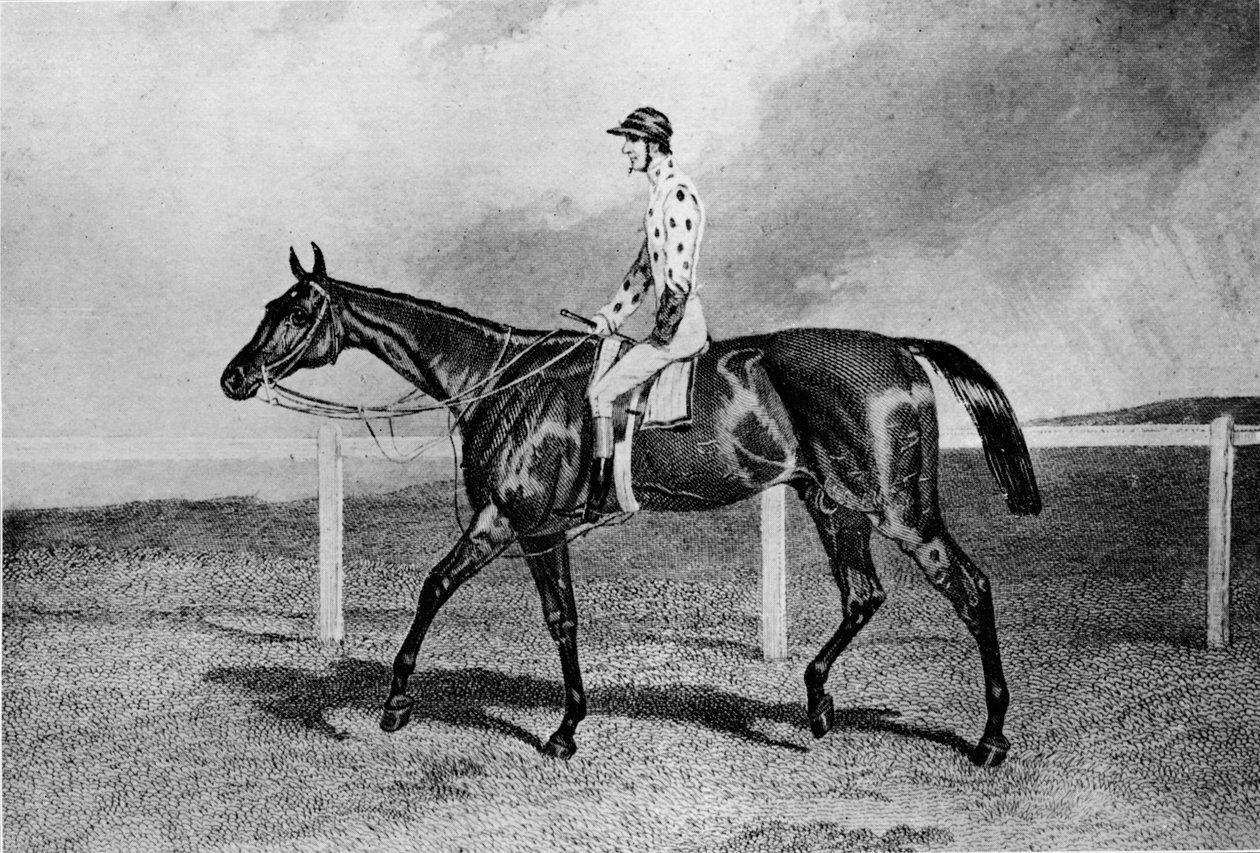 Fandango, 1800-luku, 1911 tekijältä Unbekannt