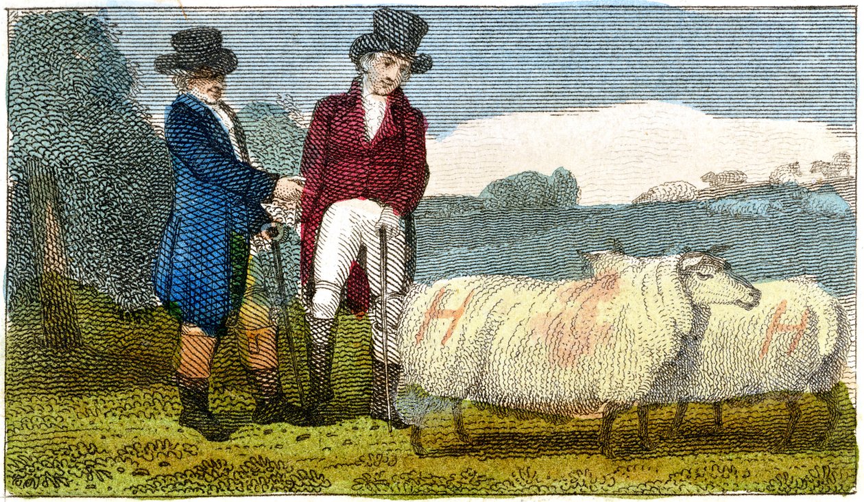 Viljelijät keskustelevat Dishley New Leicester -lampaista, 1822 tekijältä Unbekannt