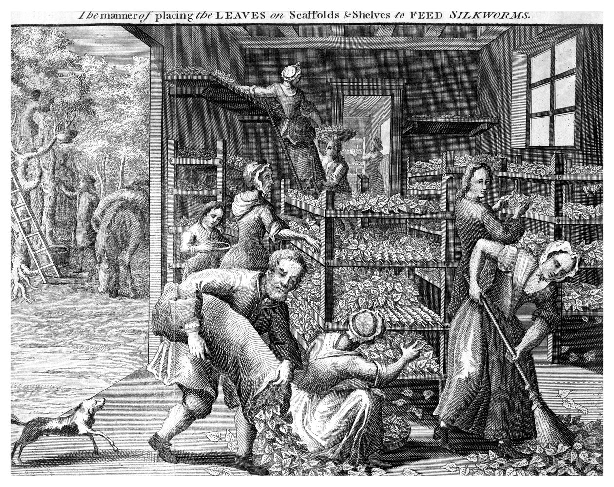 Silkkiäistoukkien ruokinta, 1700-luku tekijältä Unbekannt