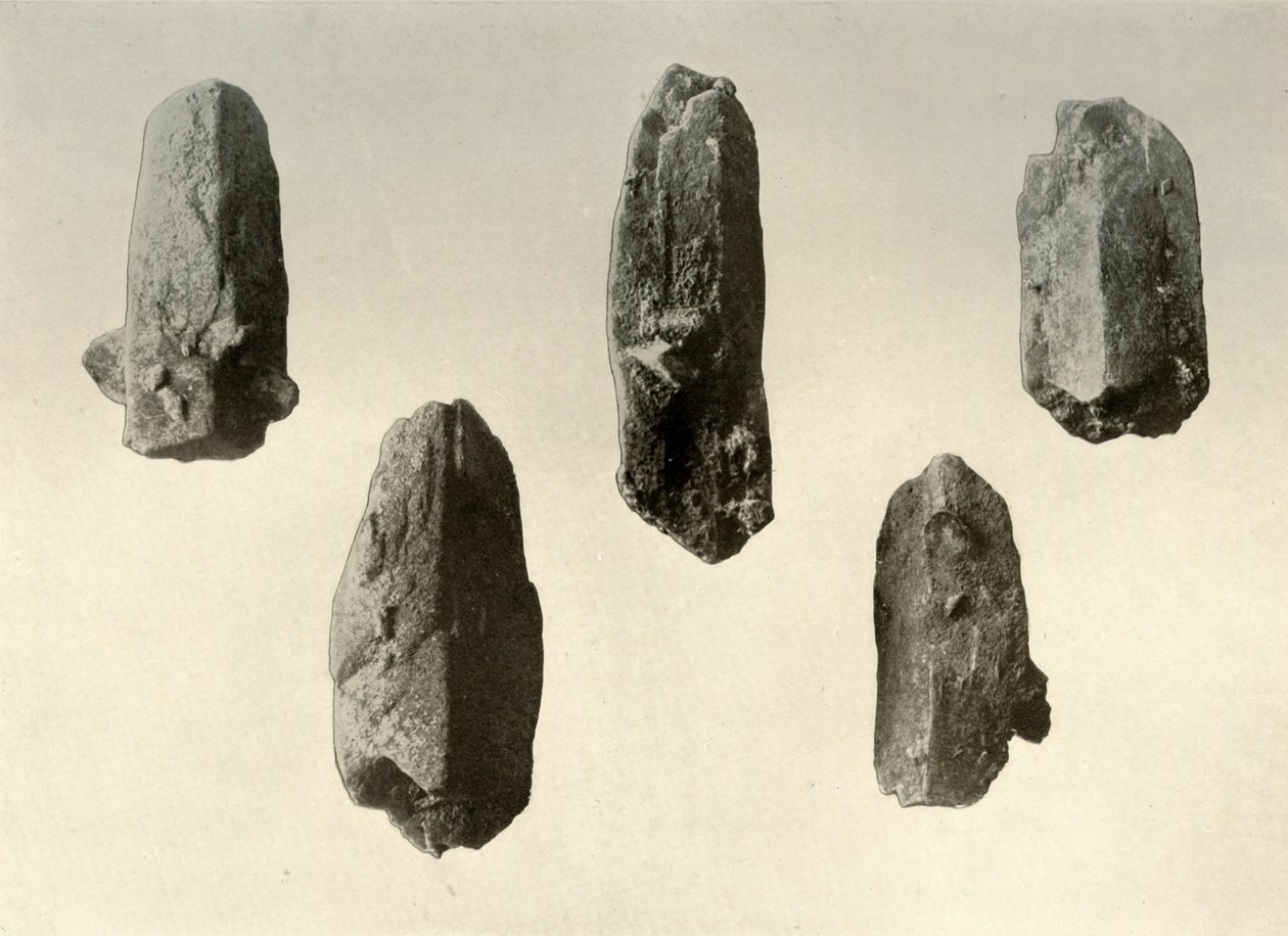 Maasälpäkristalleja Erebus-vuoren huipulta Natural Size, 1909 tekijältä Unbekannt