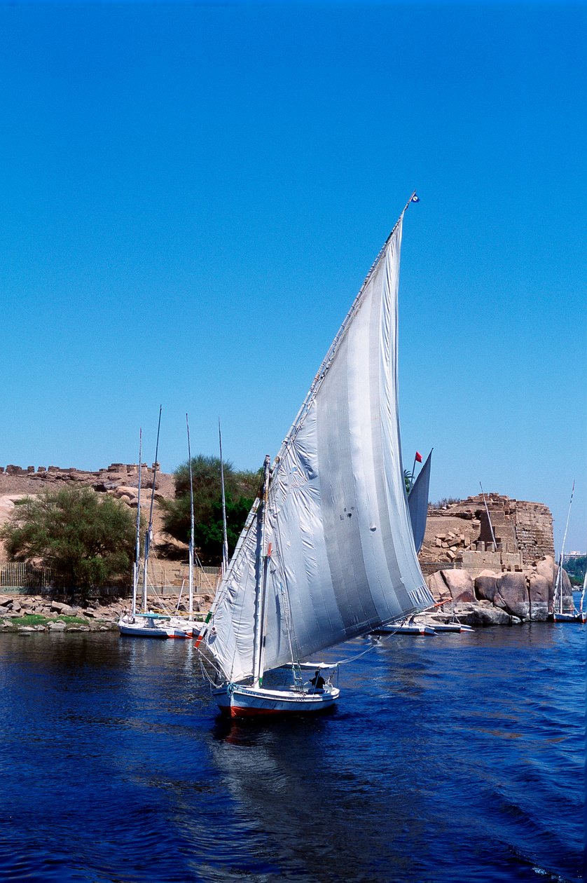 Feluccas Niilillä, Elephantine Island lähellä Aswania, moderni Egypti tekijältä Unbekannt