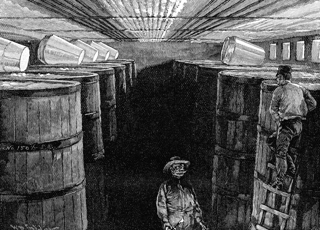 Käymiskellari amerikkalaisessa panimossa, 1885 tekijältä Unbekannt