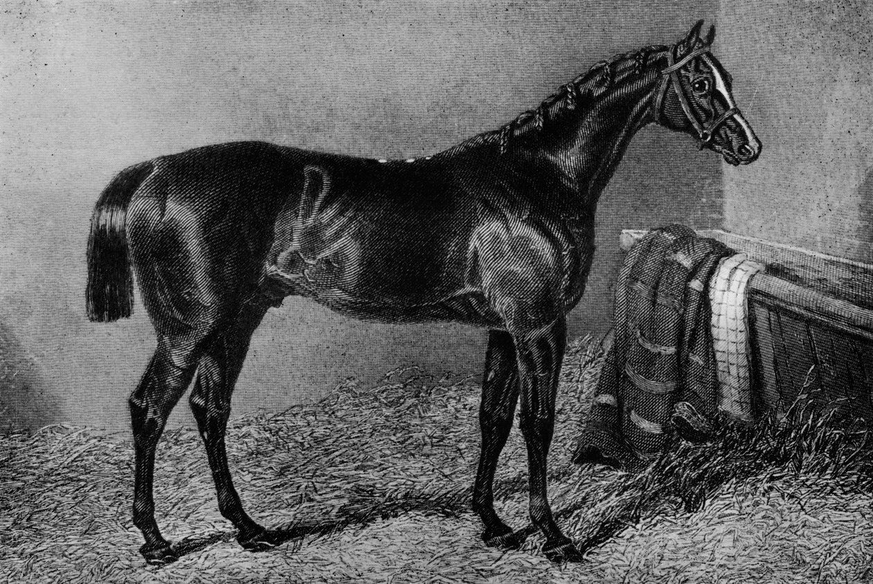 Huoran poika, 1812-1835, 1911 tekijältä Unbekannt