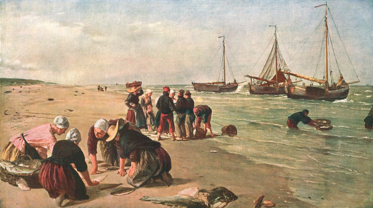Kala Dogger Bankista, Scheveningen, Hollanti, 1870, c1902. tekijältä Unbekannt