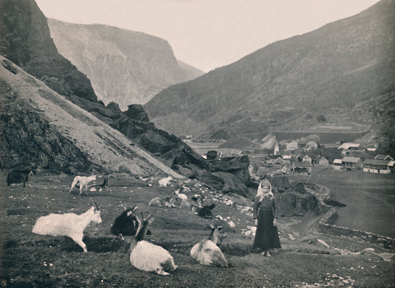 Flaam, 1914. tekijältä Unbekannt