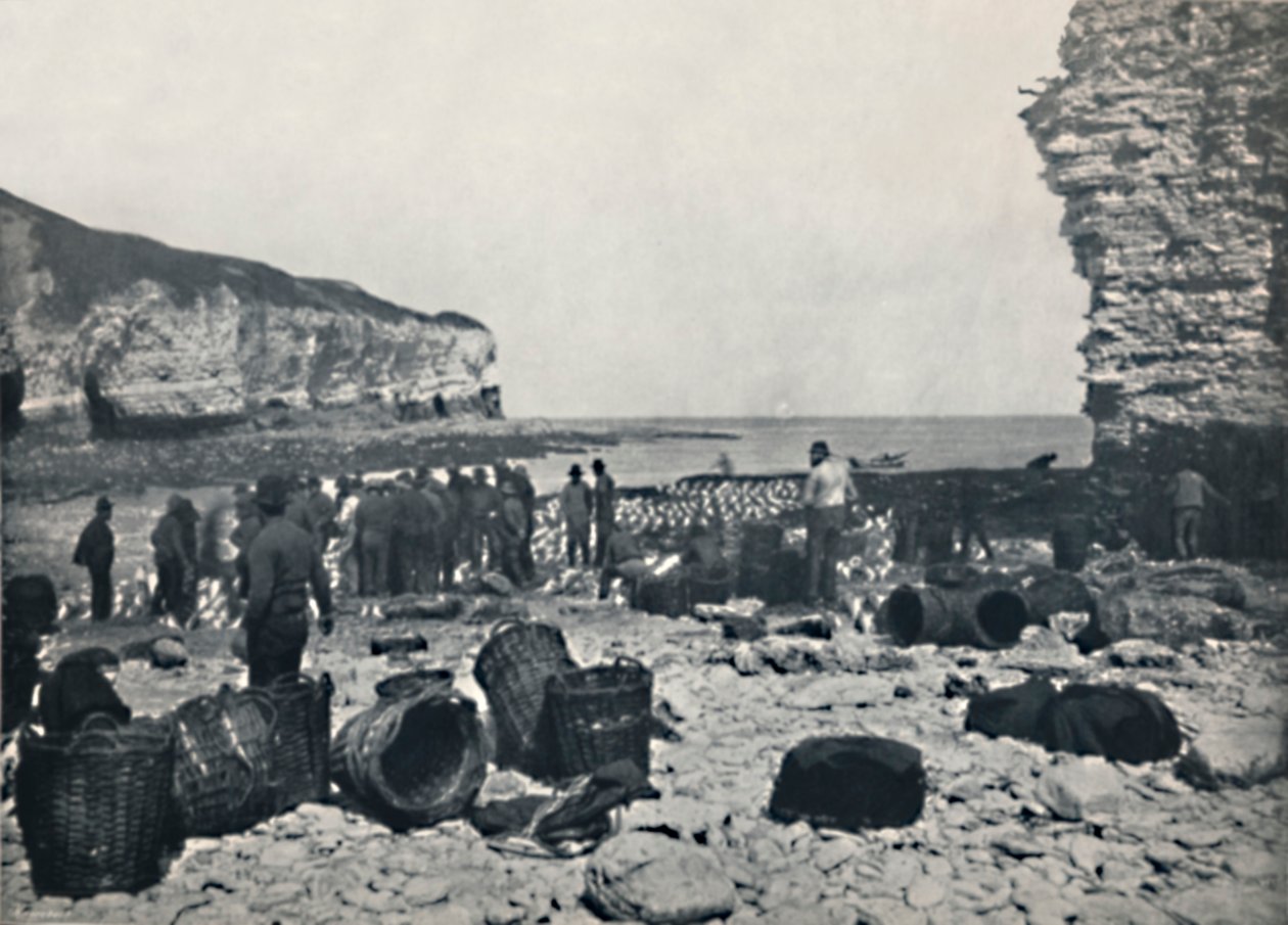 Flamborough - Kalastajat töissä, 1895 tekijältä Unbekannt