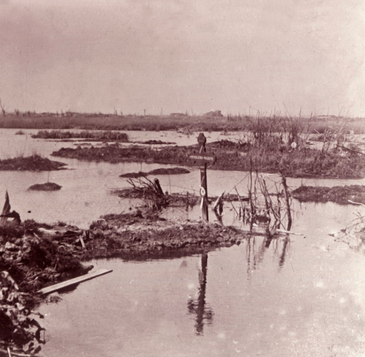 Tulvat, Flanderi, Belgia, c1914-c1918 tekijältä Unbekannt