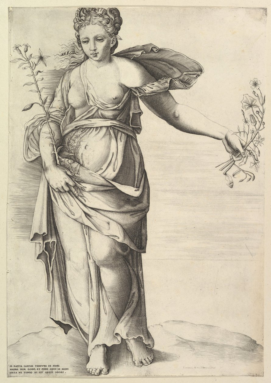 Flora, n. 1560-70. tekijältä Unbekannt