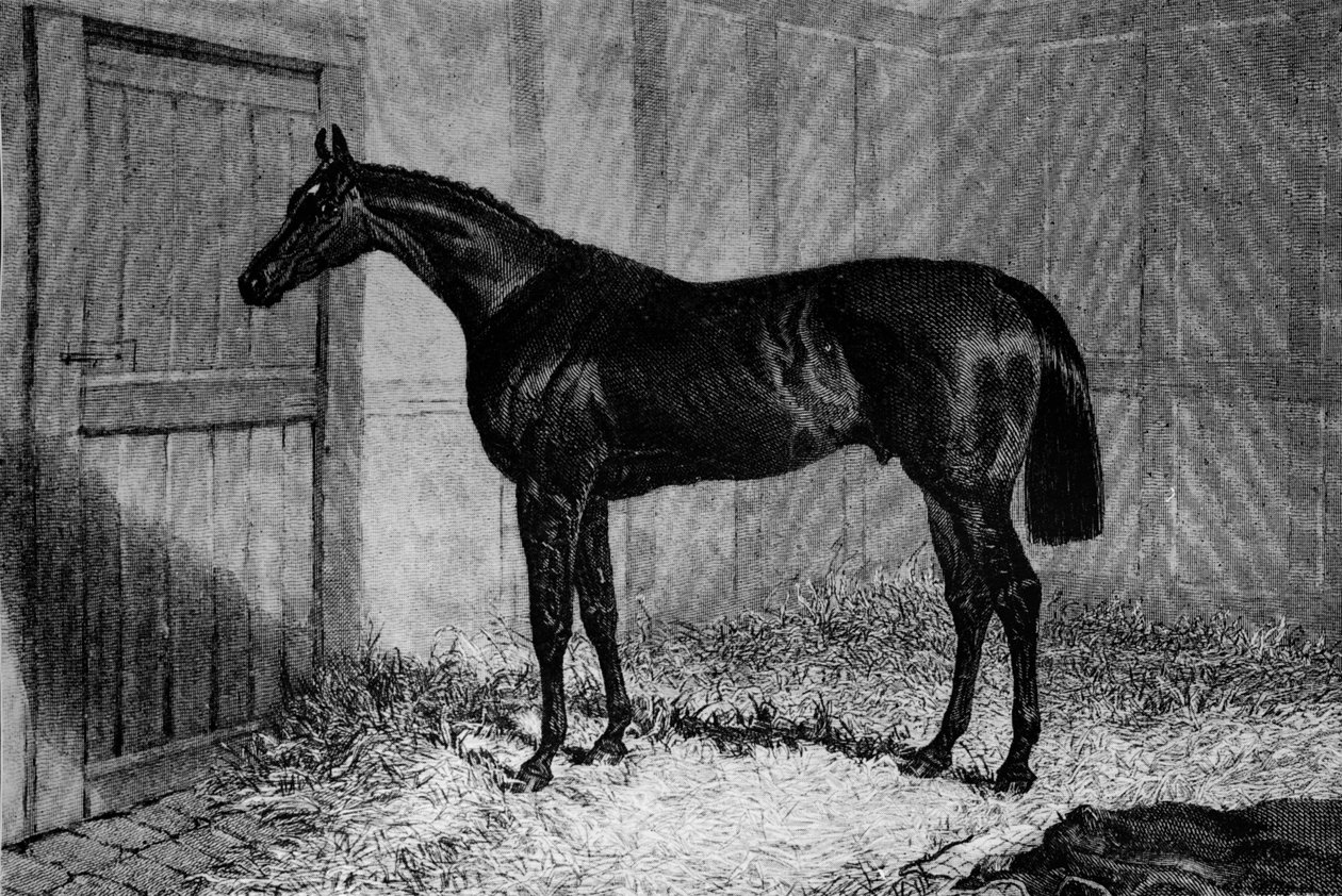 Foig-A-Ballagh, c1841-1860, 1911 tekijältä Unbekannt