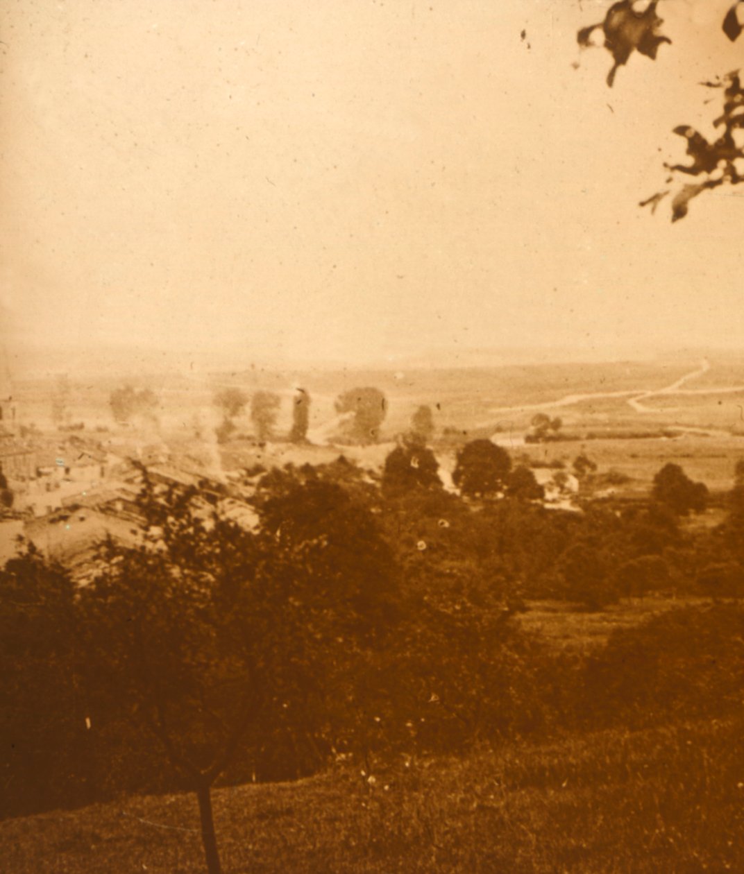 Argonnen metsä, Pohjois-Ranska, c1914-c1918 tekijältä Unbekannt