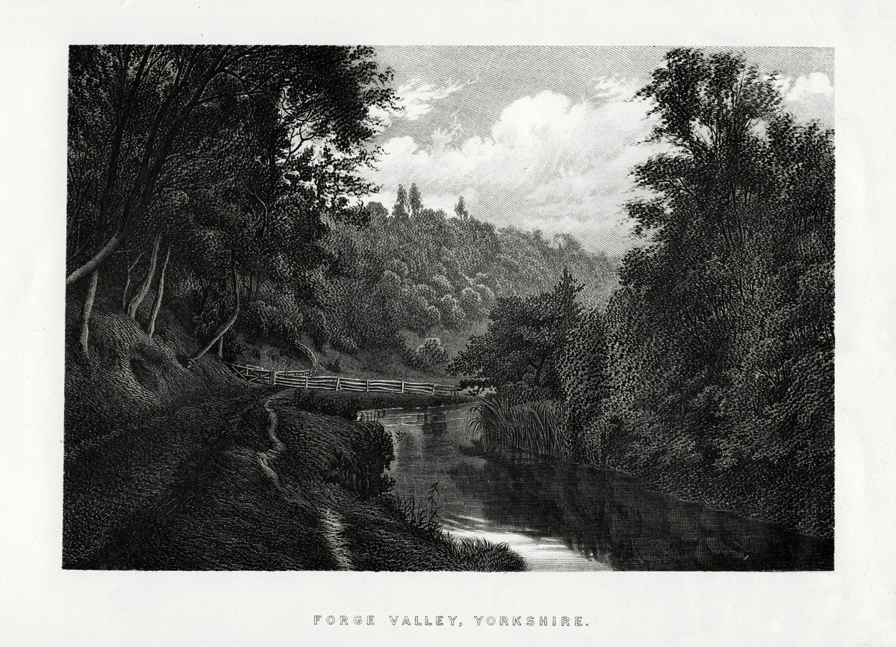 Forge Valley, Yorkshire, 1896 tekijältä Unbekannt