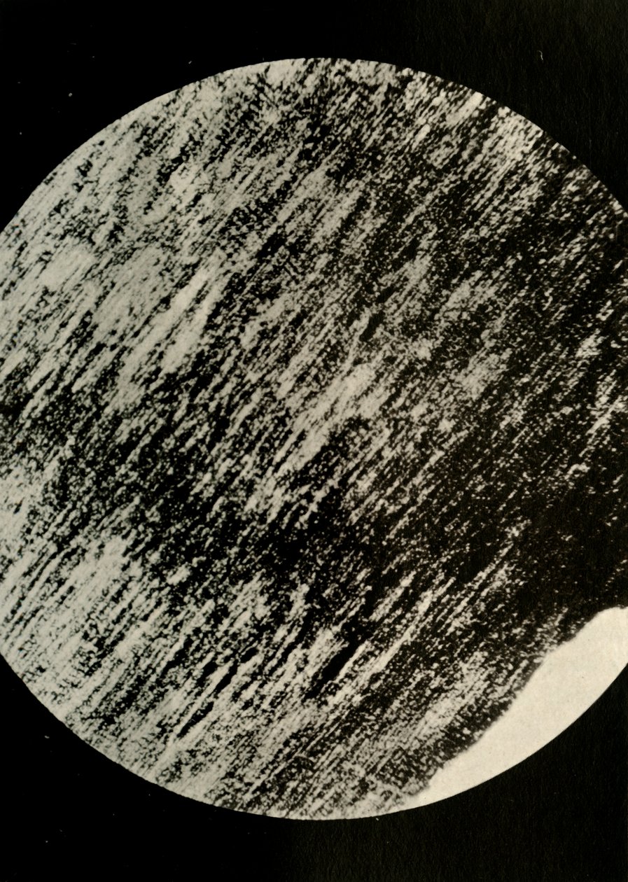 Fossiilinen puu hiekkakivessä, moreenista leveysasteella 85° etelään, c1908, 1909. tekijältä Unbekannt