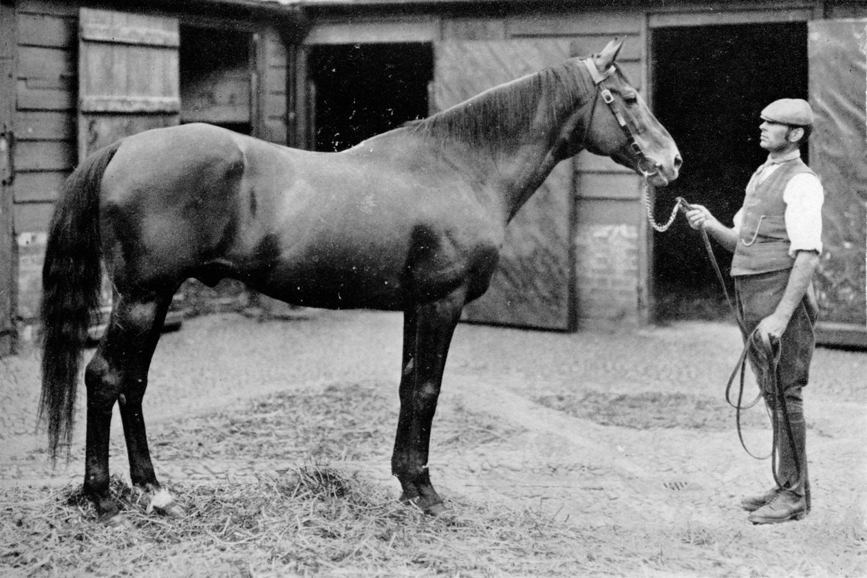 Foxhall, 1880-1904, 1911 tekijältä Unbekannt