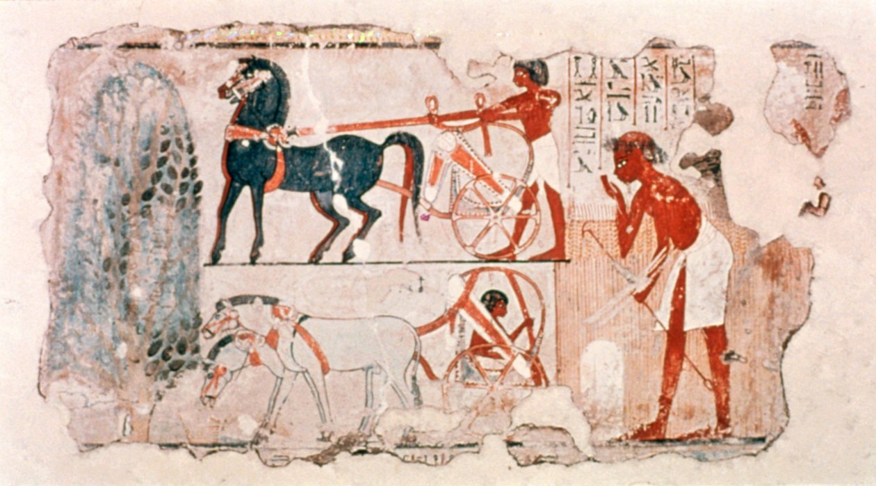 Fragmentti muinaisen Egyptin maalatusta kipsistä, joka kuvaa sadonkorjuuta, n. 1400 eaa. tekijältä Unbekannt