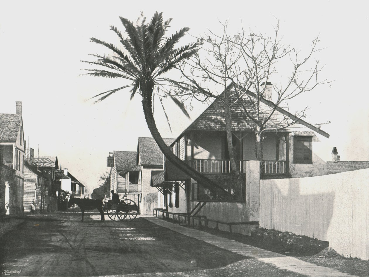 Francis Street, St Augustine, USA, 1895. tekijältä Unbekannt