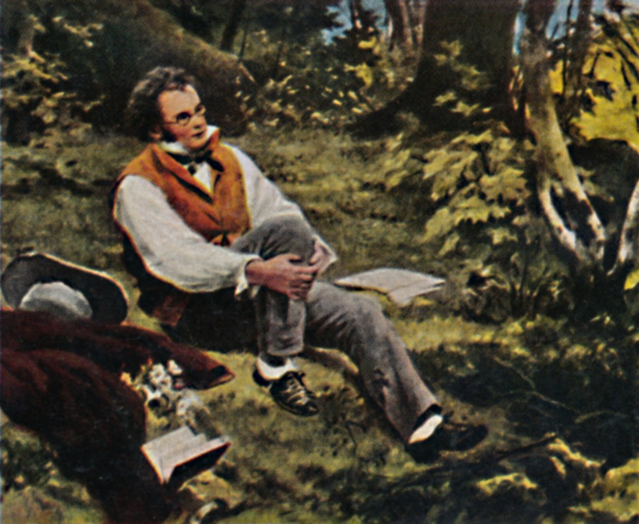 Franz Schubert 1797-1828. - J. Schmidin maalaus, 1934. tekijältä Unbekannt