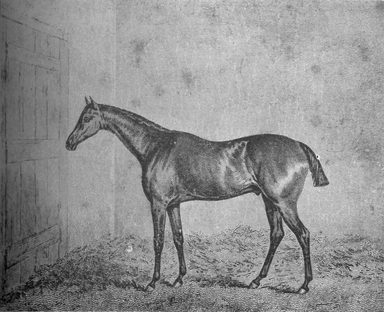 Frederick, 1826-1837, 1911 tekijältä Unbekannt