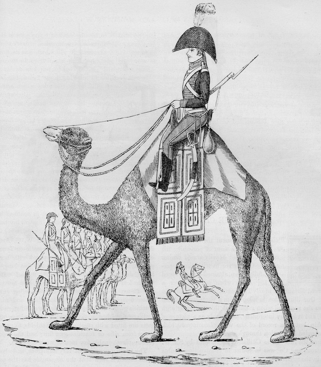 Ranskan dromedaarirykmentti. Vangittiin saattueella Libyan autiomaassa, toukokuussa 1801, 1884 tekijältä Unbekannt