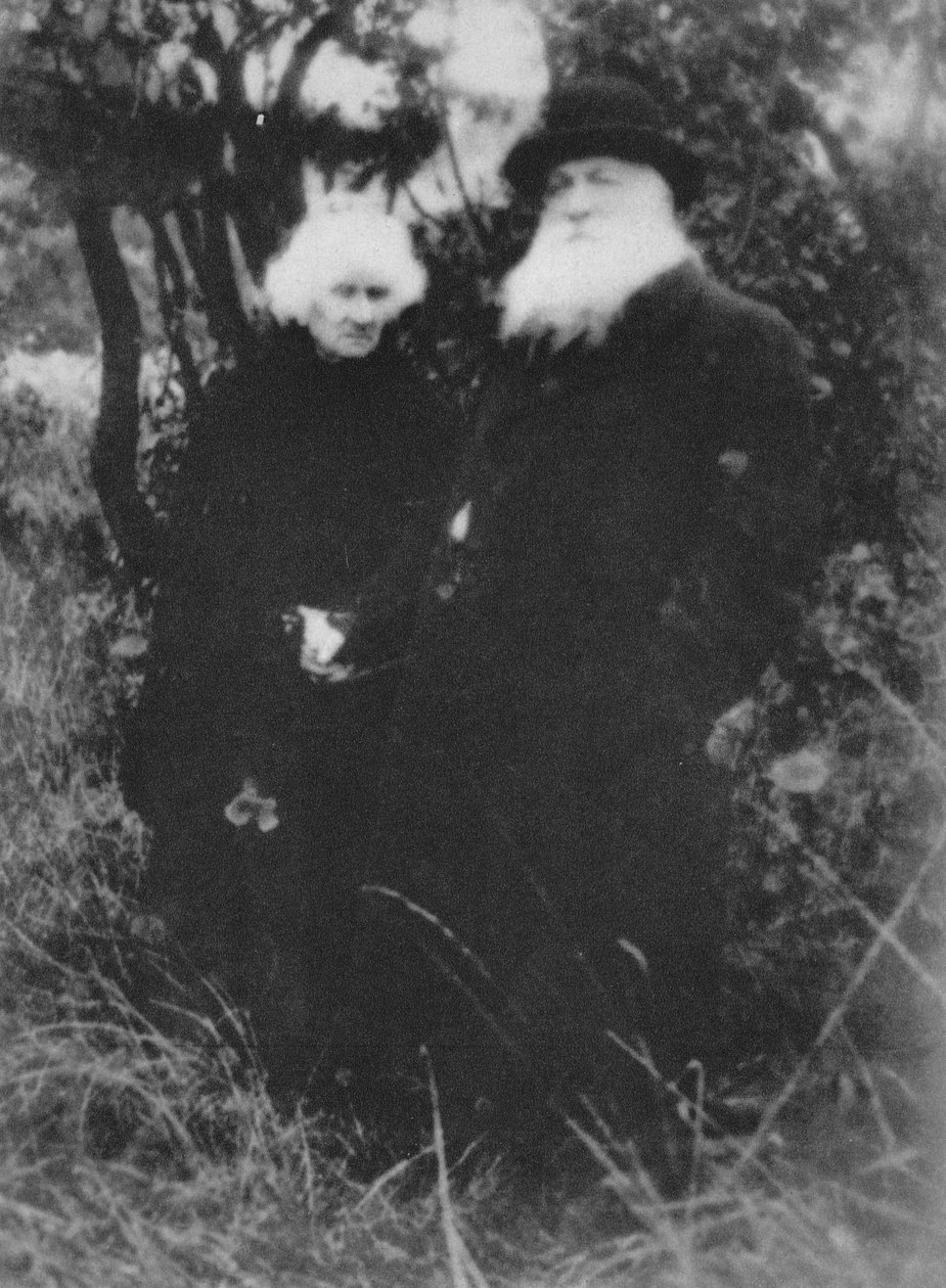 Ranskalainen kuvanveistäjä Auguste Rodin kuvattiin huvilan puistossa Meudonissa, 1916, 1939 tekijältä Unbekannt