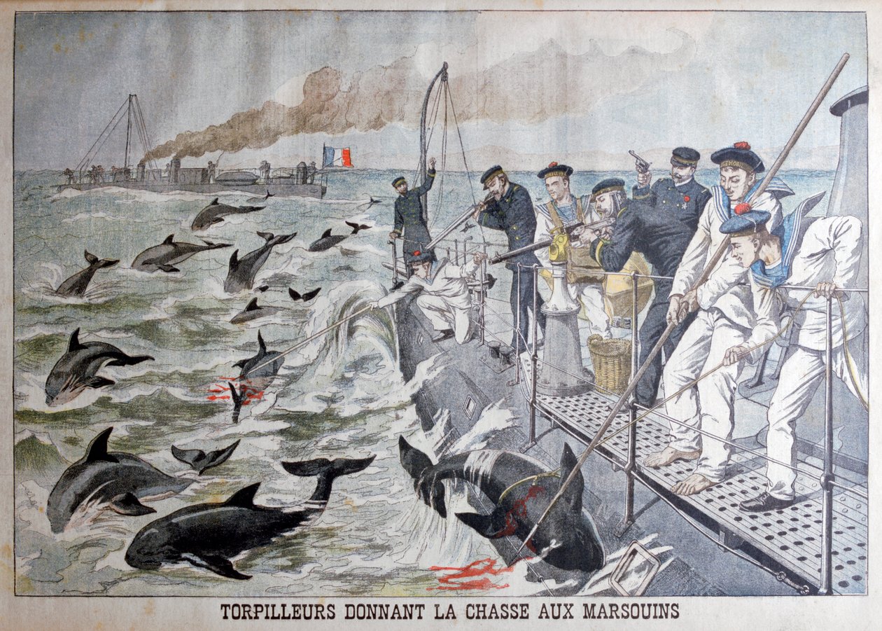 Ranskalaiset pyöriäisiä metsästävät torpedoveneet, 1903 tekijältä Unbekannt