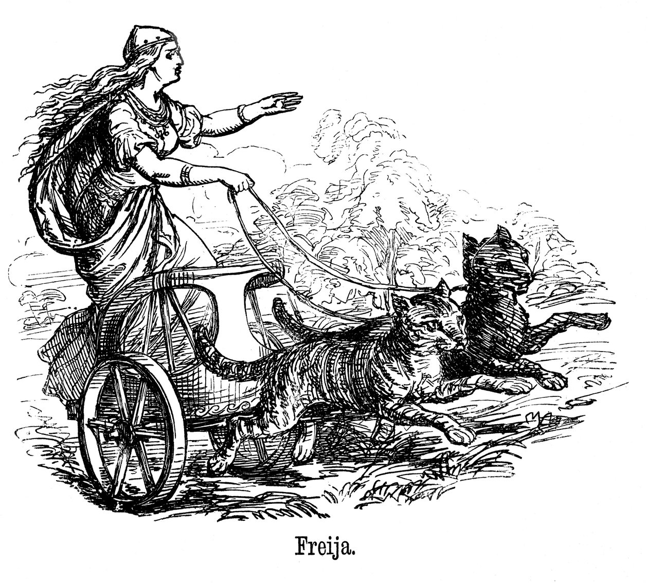 Freya Frigg rakkauden jumalatar skandinaavisessa mytologiassa, ajaa kissojen vetämiä vaunujaan tekijältä Unbekannt