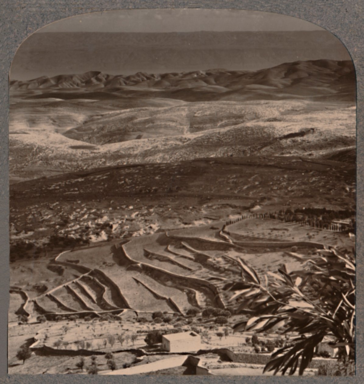 Olivetista Kuolleellemerelle, 40 mailia jätettä, c1900 tekijältä Unbekannt