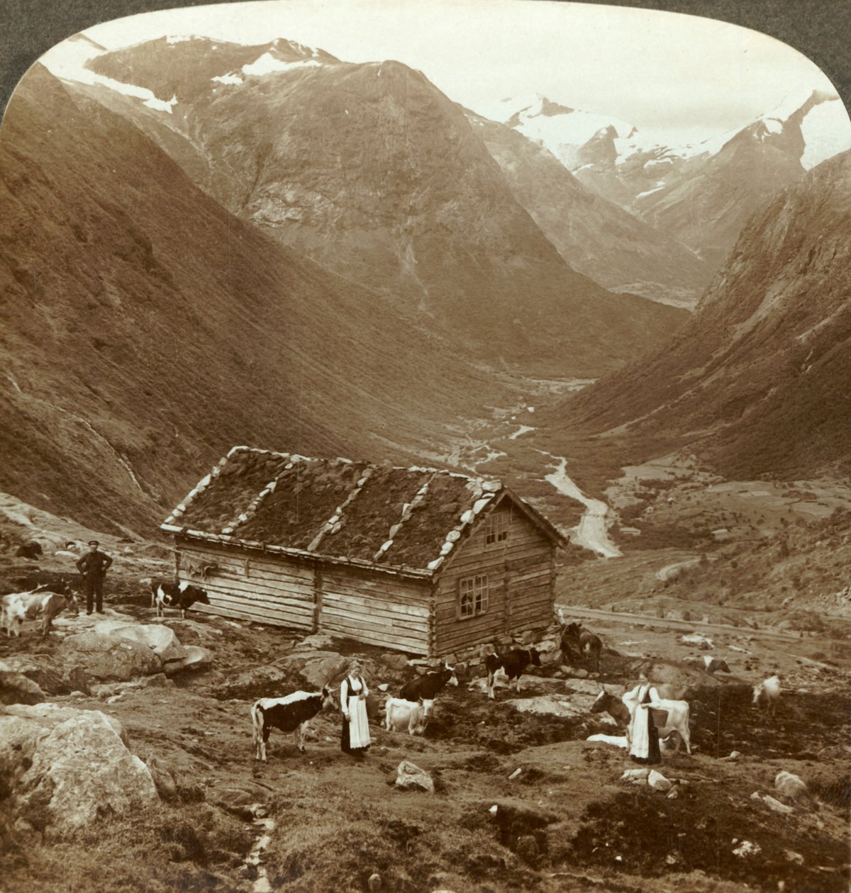 Vuorimajatalosta Vidde saeterissa alas Vidden laaksoon - Skaala-vuori oikealla etäisyydellä, n. 1905. tekijältä Unbekannt